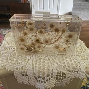 Cute transparent clutch
